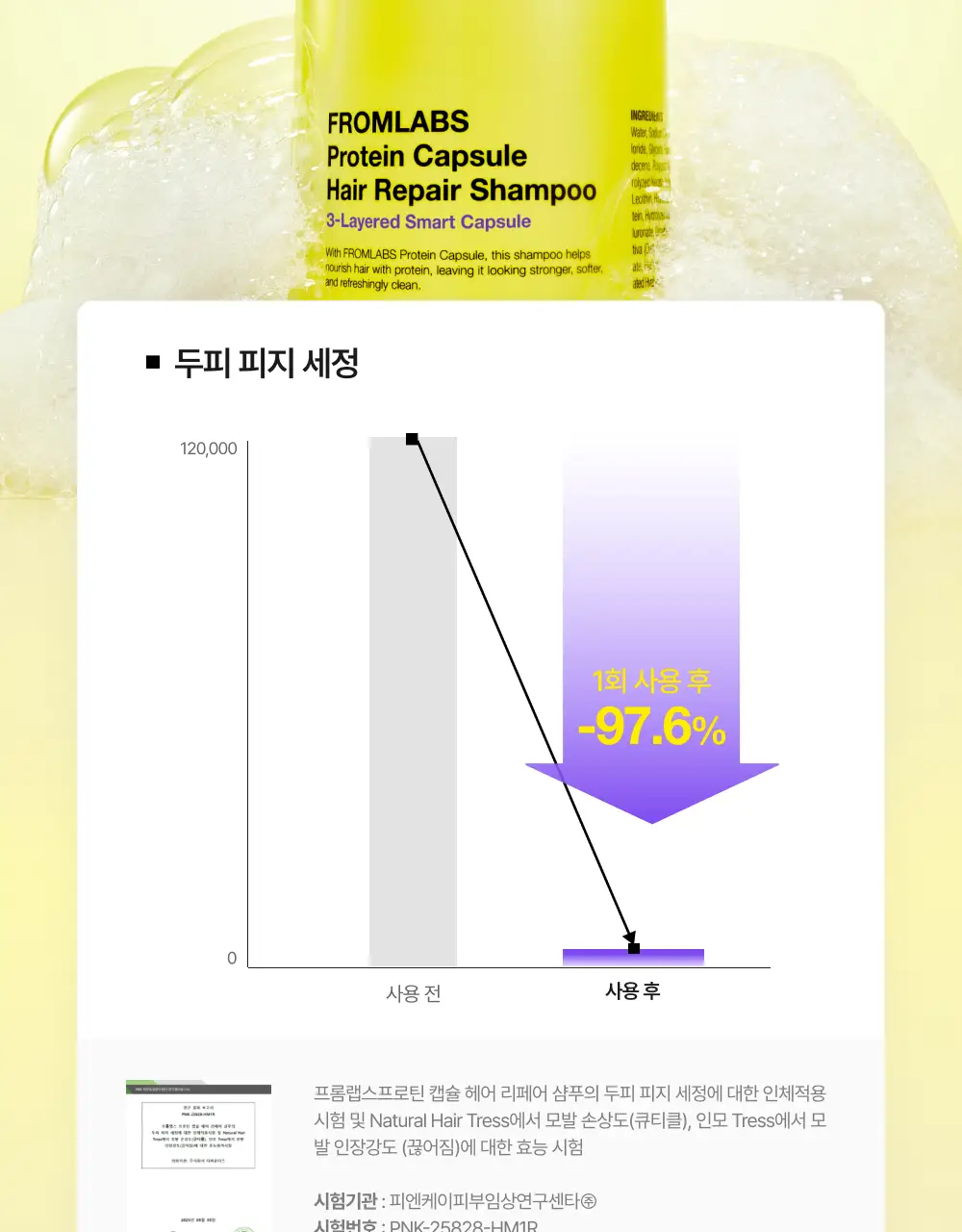 [1회 만에 손상모 개선] 프롬랩스 단백질 흡착 샴푸 500ml (노설페이트) 상세페이지 23